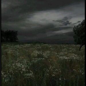 Meet your Posher, Angelique